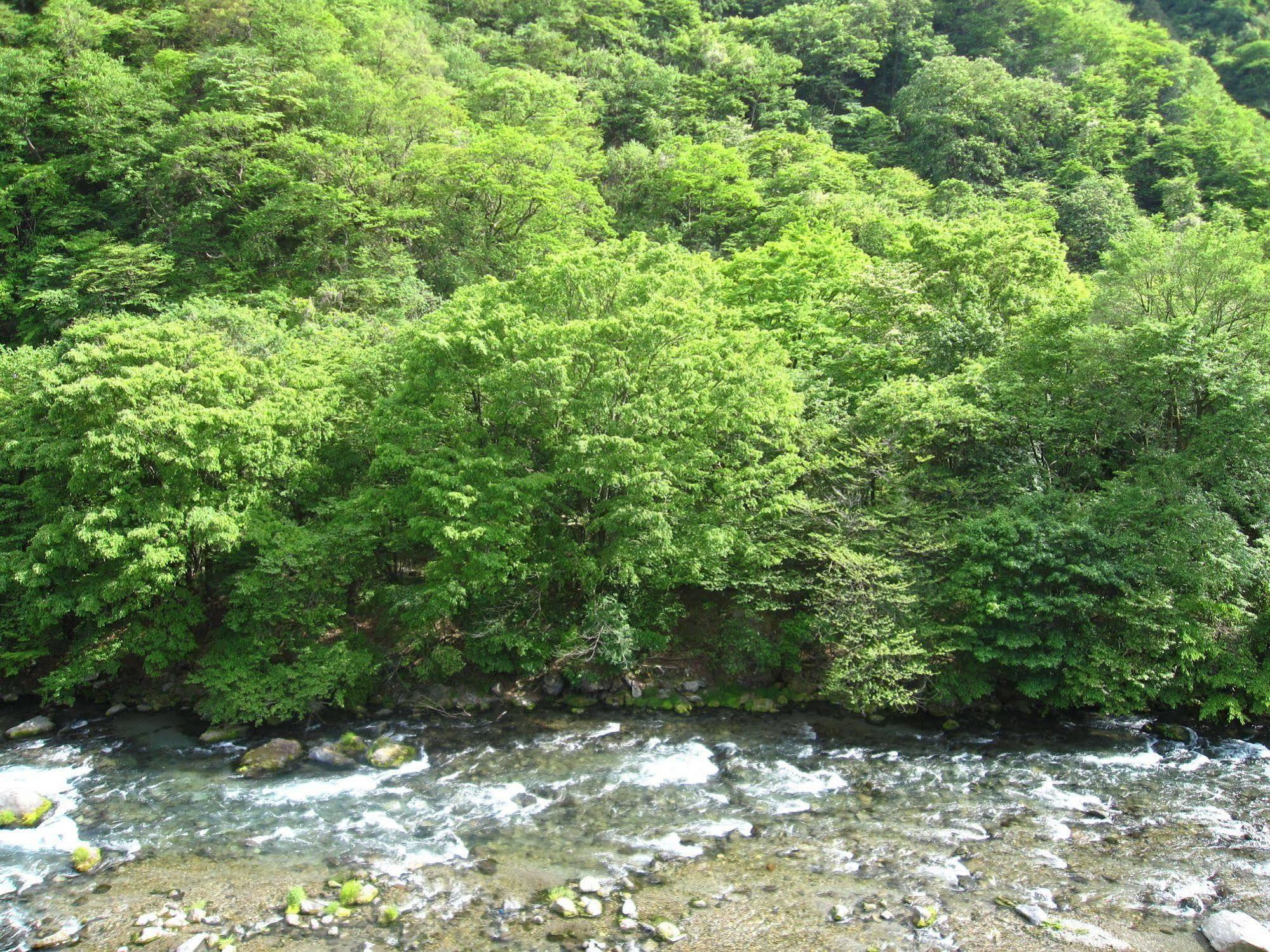 Koduchi No Yado Tsurukamedaikichi Hotel Nikko Exterior photo